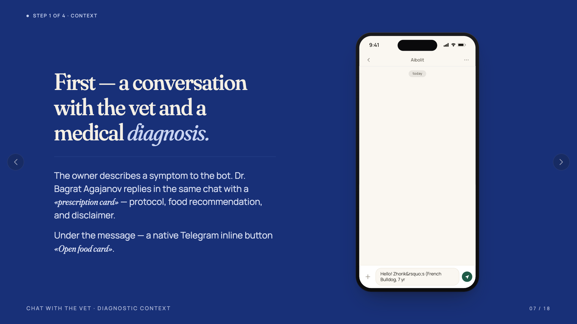 Slide 07 — chat with the vet, with the embedded co-branded mini-app to the right.